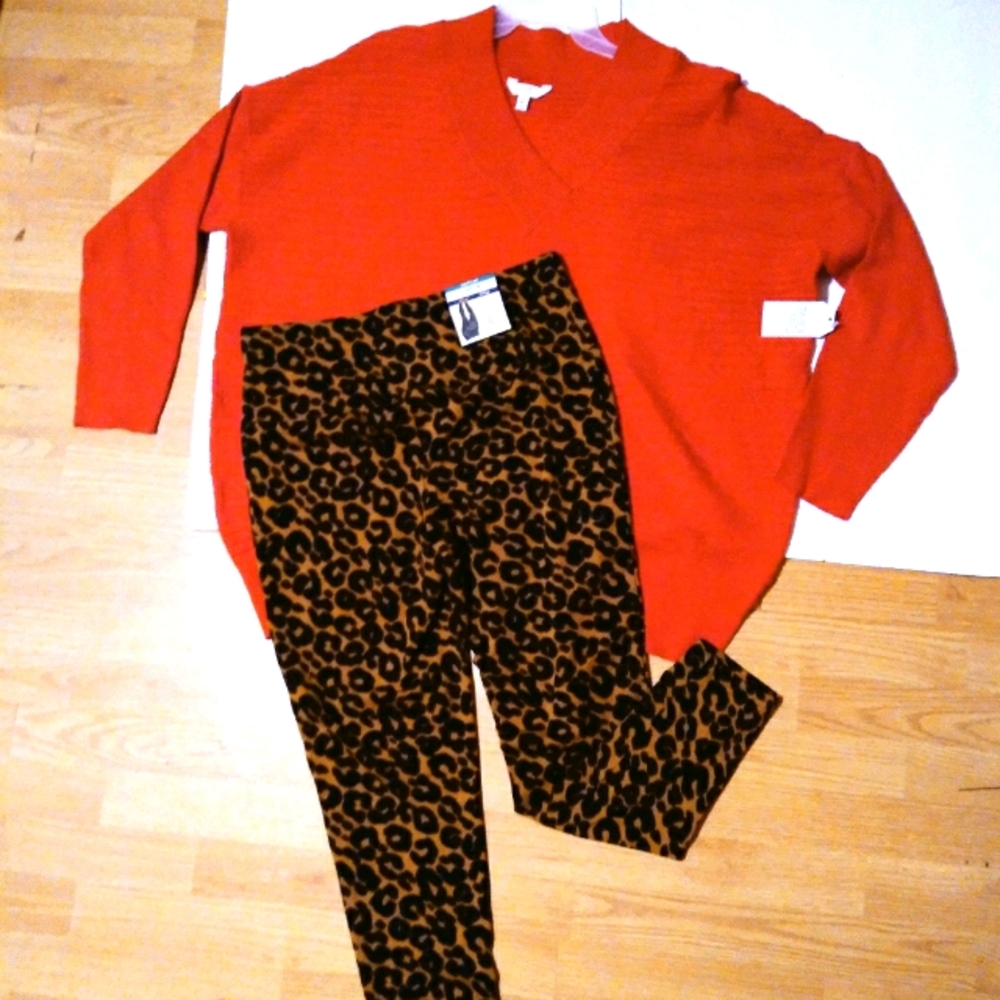 Nwt plus size set Sweatershirt size 2X and legging